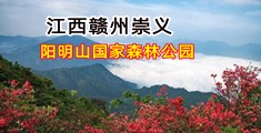 啊操我用力啊大鸡巴好爽啊操我鸡巴好大骚逼好爽啊